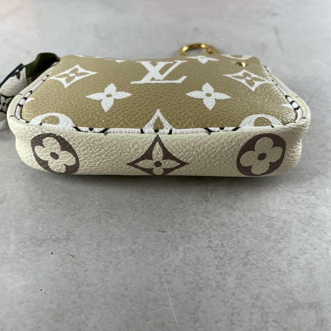 【極美品】ルイヴィトン ケース ポーチ モノグラム 金具