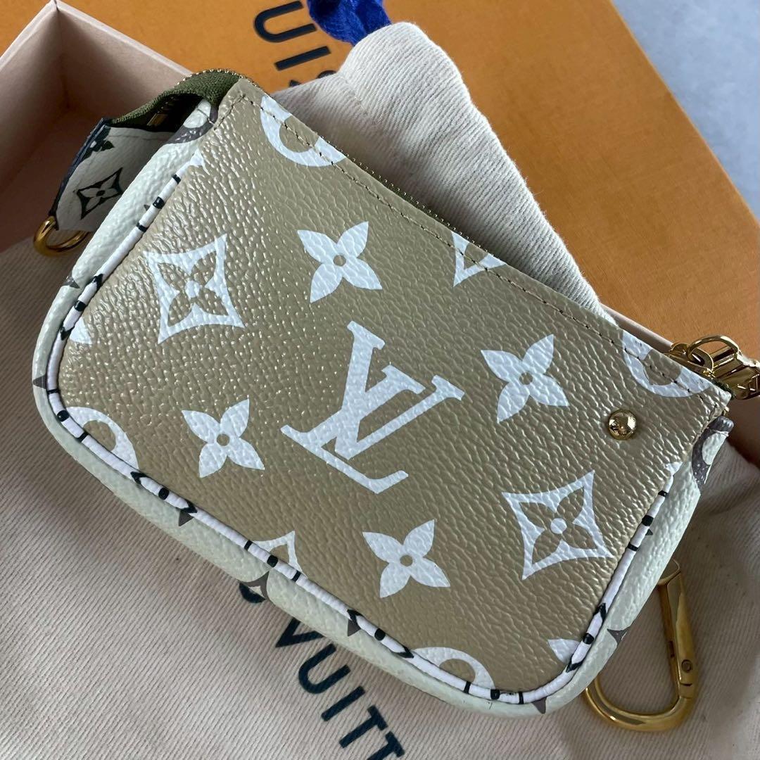 【極美品】ルイヴィトン ケース ポーチ モノグラム 金具