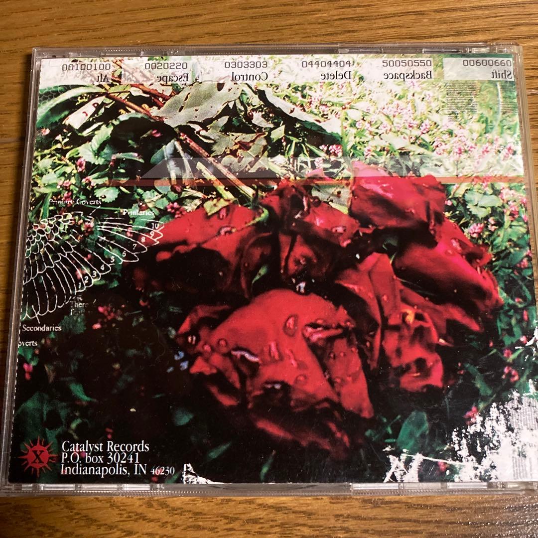 洋楽 CAST FROM EDEN