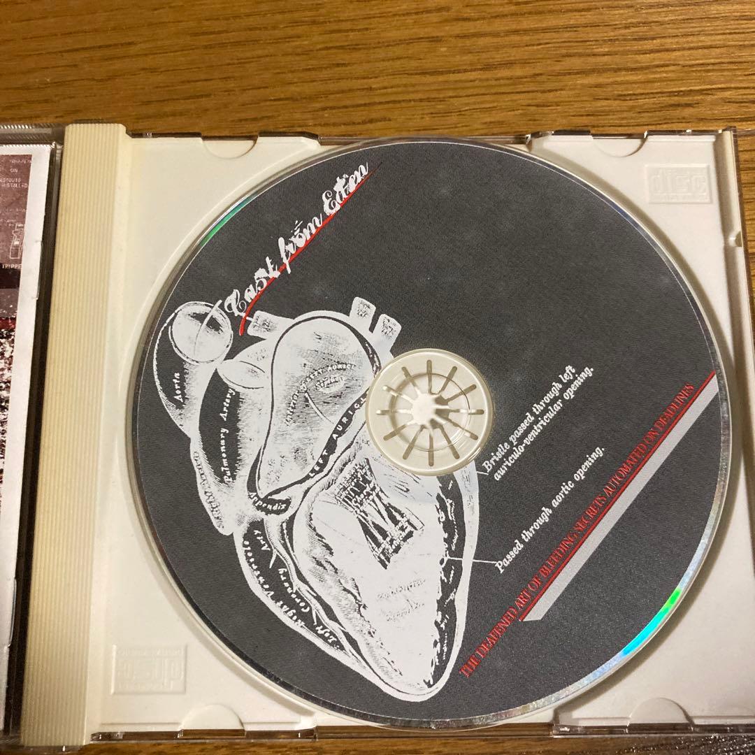 洋楽 CAST FROM EDEN