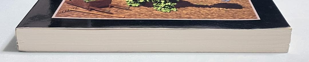 コンピュータ・IT COMPUTER GRAPHICS PROCEEDINGS 1994