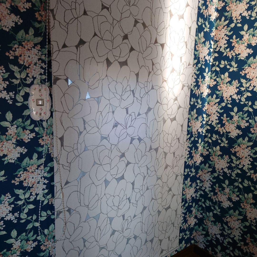 【タチカワブラインド】花柄ホワイトブ花柄 ホワイト ロールスクリーン