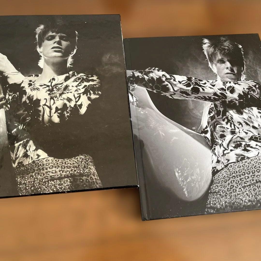 David Bowie Rock 'N' Roll Star 日本版