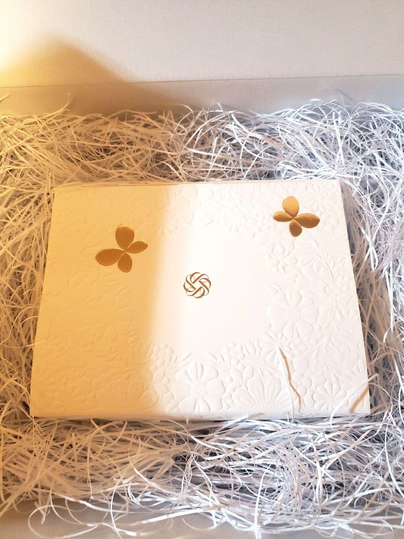 コスメデコルテ　マルセルワンダース　パウダー　2025 新品未使用