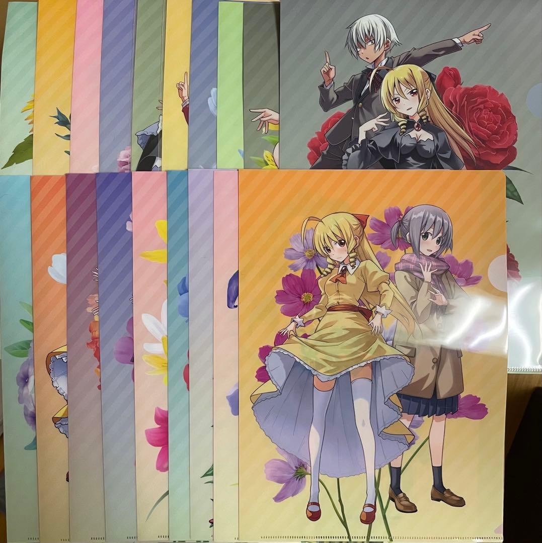 ハヤテのごとく！完全版　1〜19巻　ゲーマーズ特典コンプリートセット