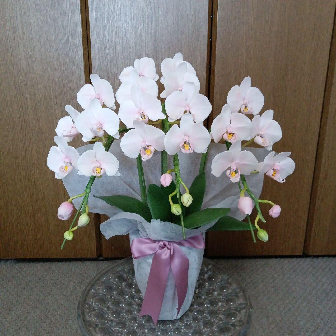 専用 3本立ちピンクの胡蝶蘭 クレイフラワー