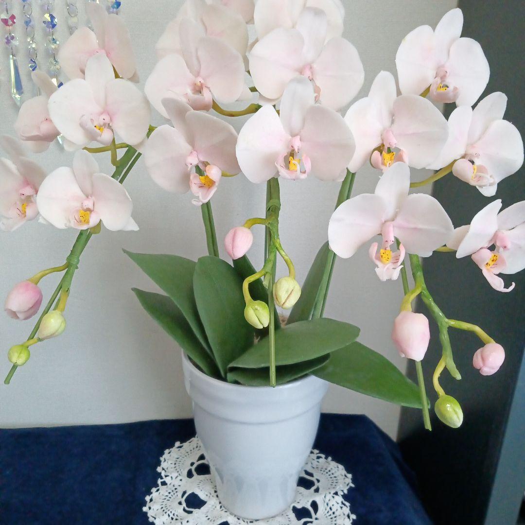 専用 3本立ちピンクの胡蝶蘭 クレイフラワー