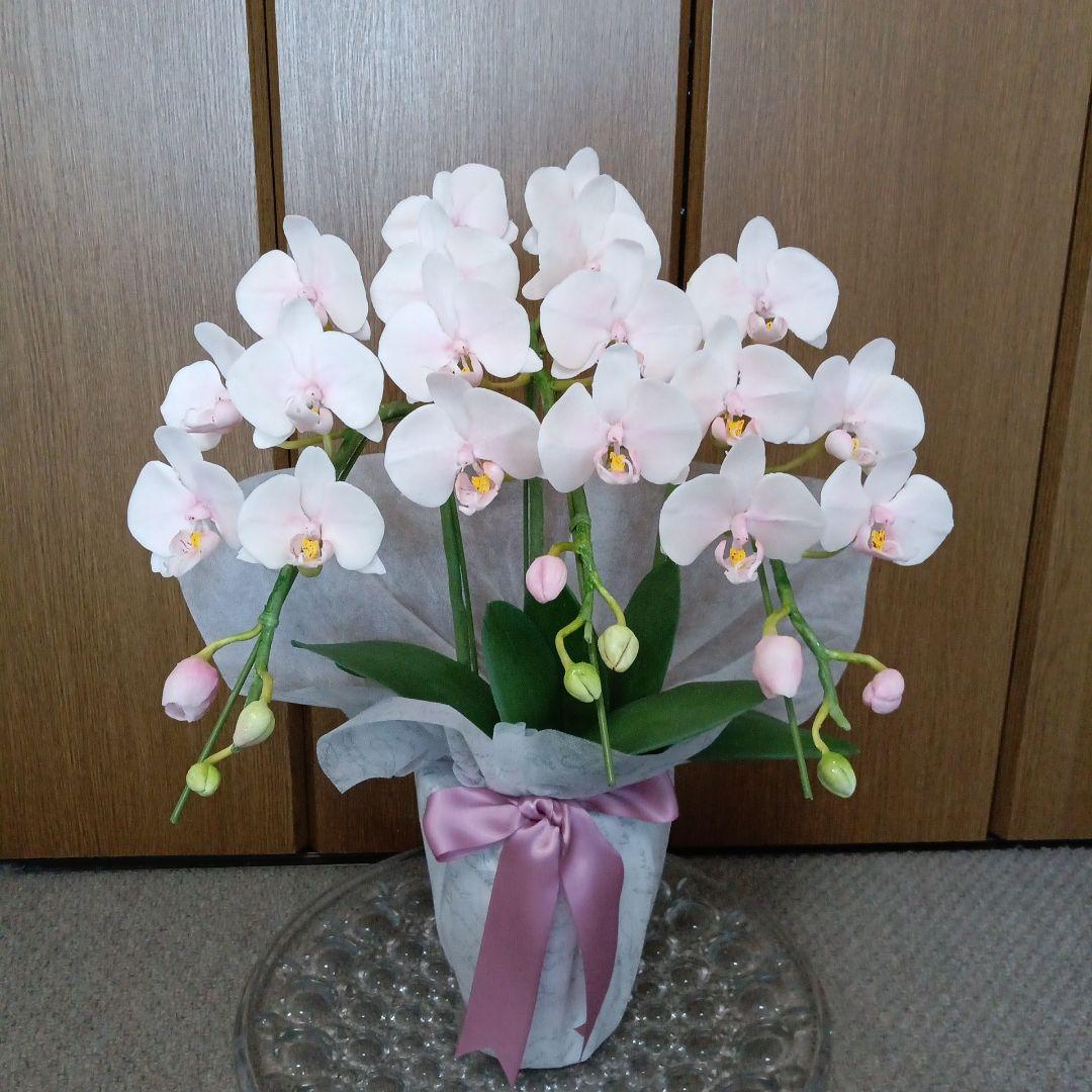 専用 3本立ちピンクの胡蝶蘭 クレイフラワー