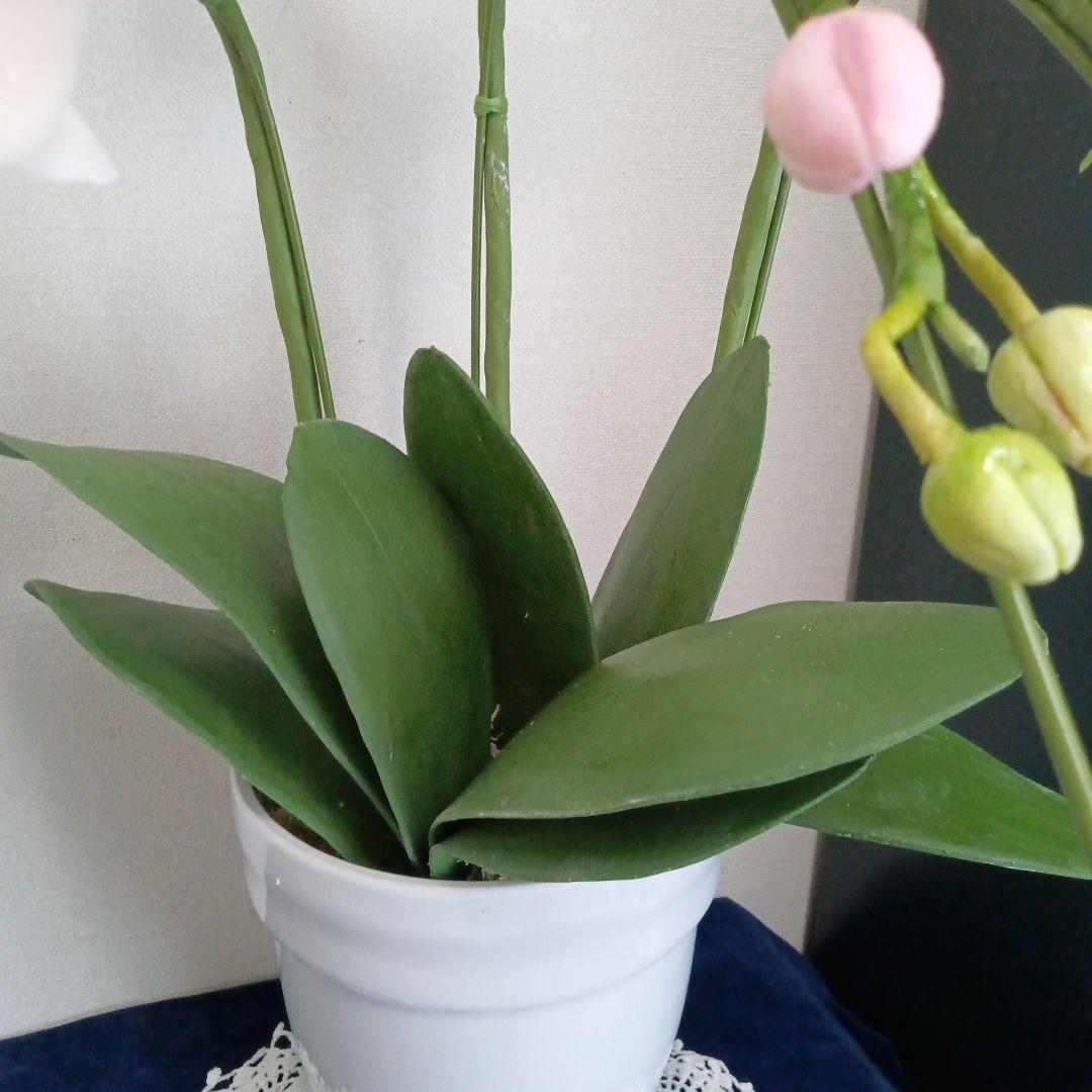 専用 3本立ちピンクの胡蝶蘭 クレイフラワー