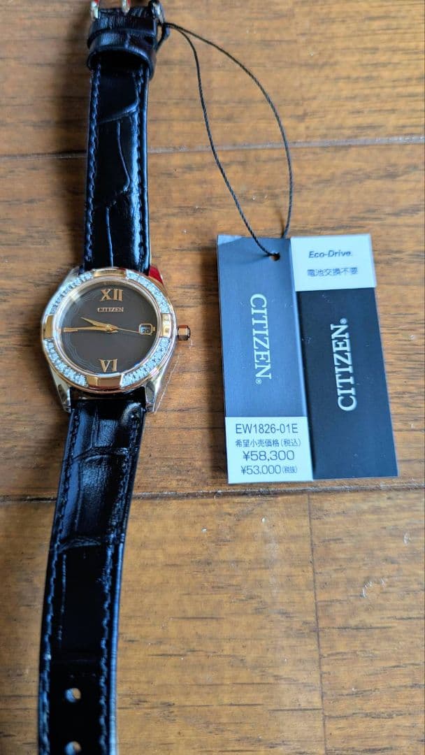 ヨドバシ　福袋　ファッションバラエティセット　レディースの夢2026年