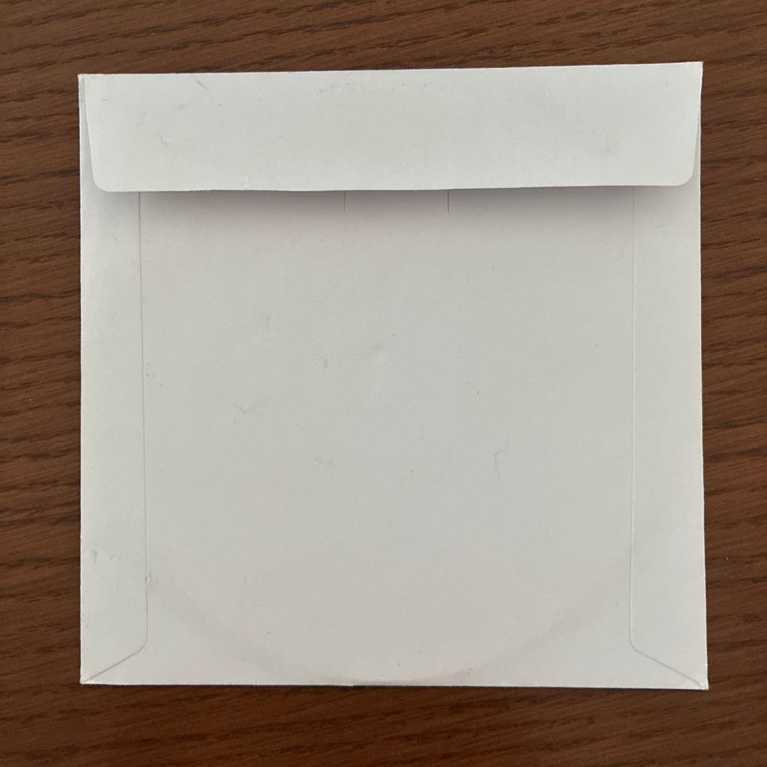 柴田聡子 2011、冬のデモ