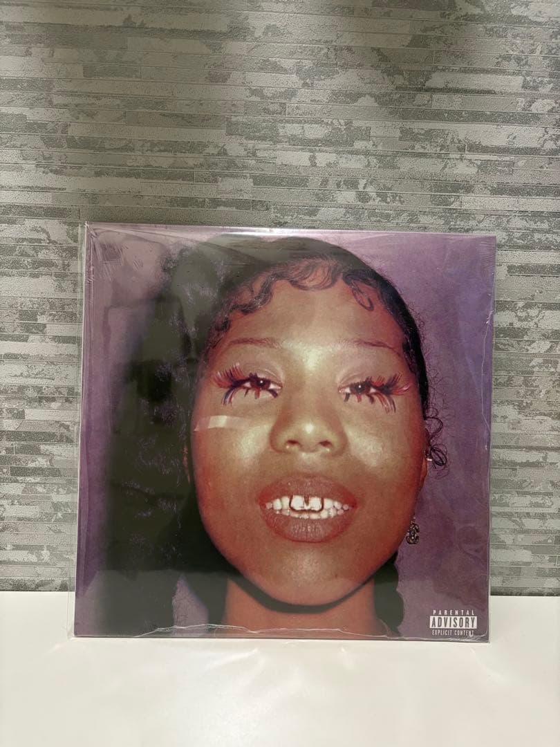 Drake 21 savage HER LOSS レコード vinyl