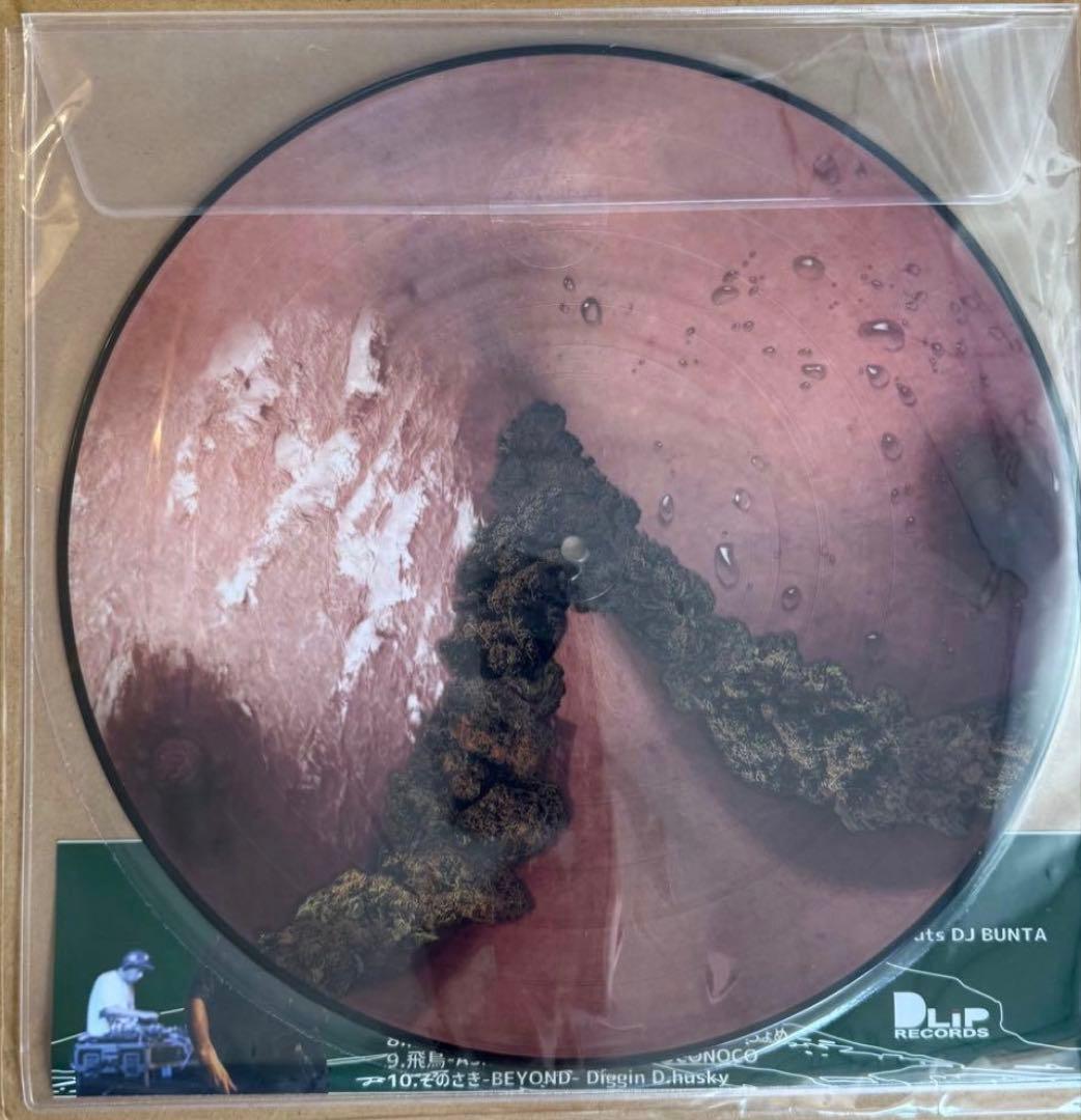 DUSTY HUSKY アートレコード DLIP-0091 山越