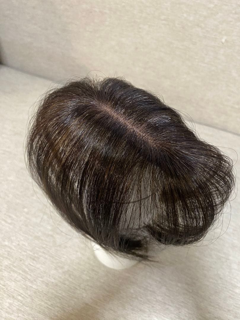 NAO-ART ピンのいらない簡単ウィッグ ナチュラルブラウン ポシュレ