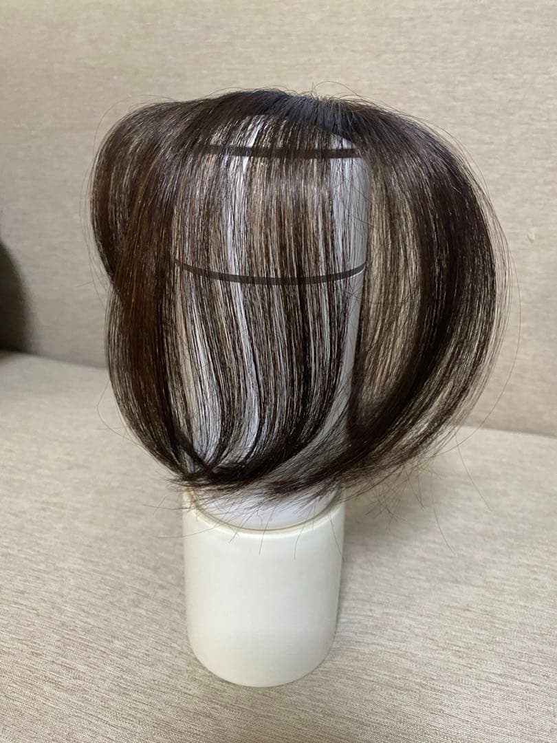 NAO-ART ピンのいらない簡単ウィッグ ナチュラルブラウン ポシュレ