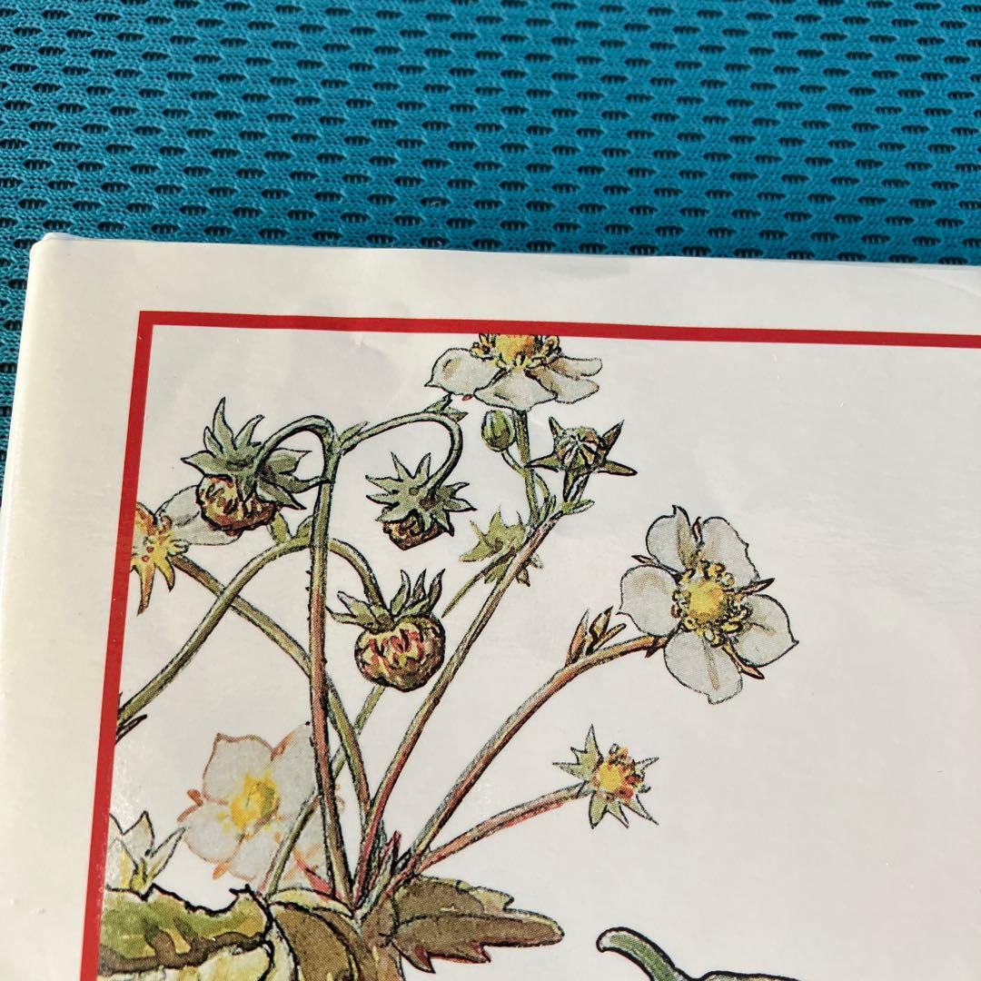 『花の妖精たちシリーズ』フェリシモ出版 外箱入の8冊セット 絶版品