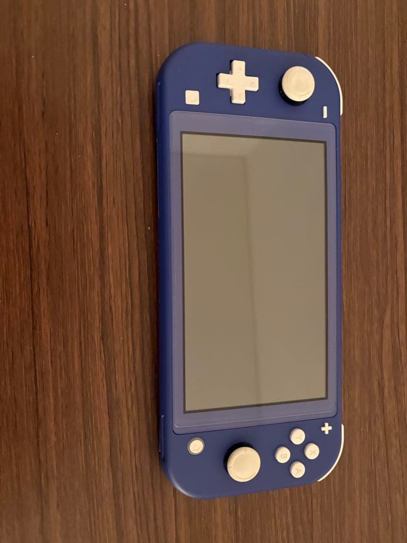 Nintendo Switch Lite ブルー ケース付き(カセット入り♪)