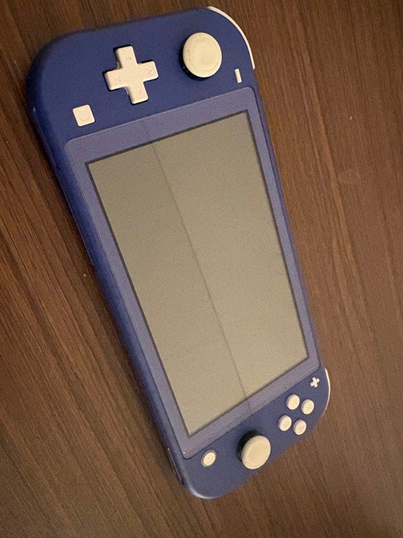 Nintendo Switch Lite ブルー ケース付き(カセット入り♪)