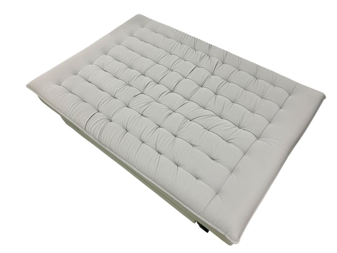 【ニトリ】傷・汚れに強い ソファベッド/BD01 Nシールド