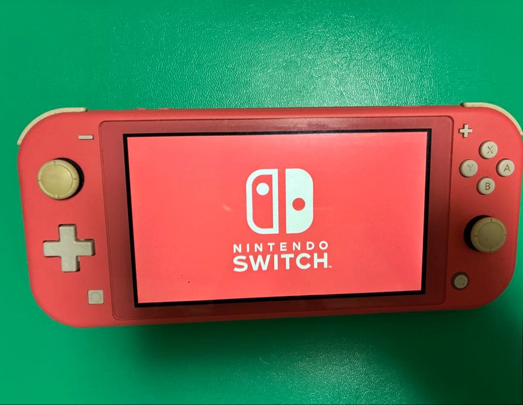 Nintendo Switch Lite 本体 訳あり(スティック不具合あり)