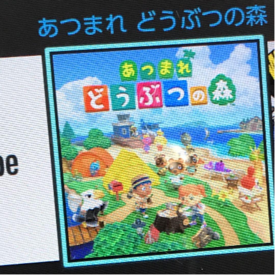 Nintendo Switch  ダウンロード版どうぶつの森有り