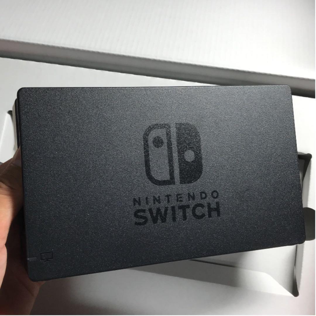 Nintendo Switch  ダウンロード版どうぶつの森有り