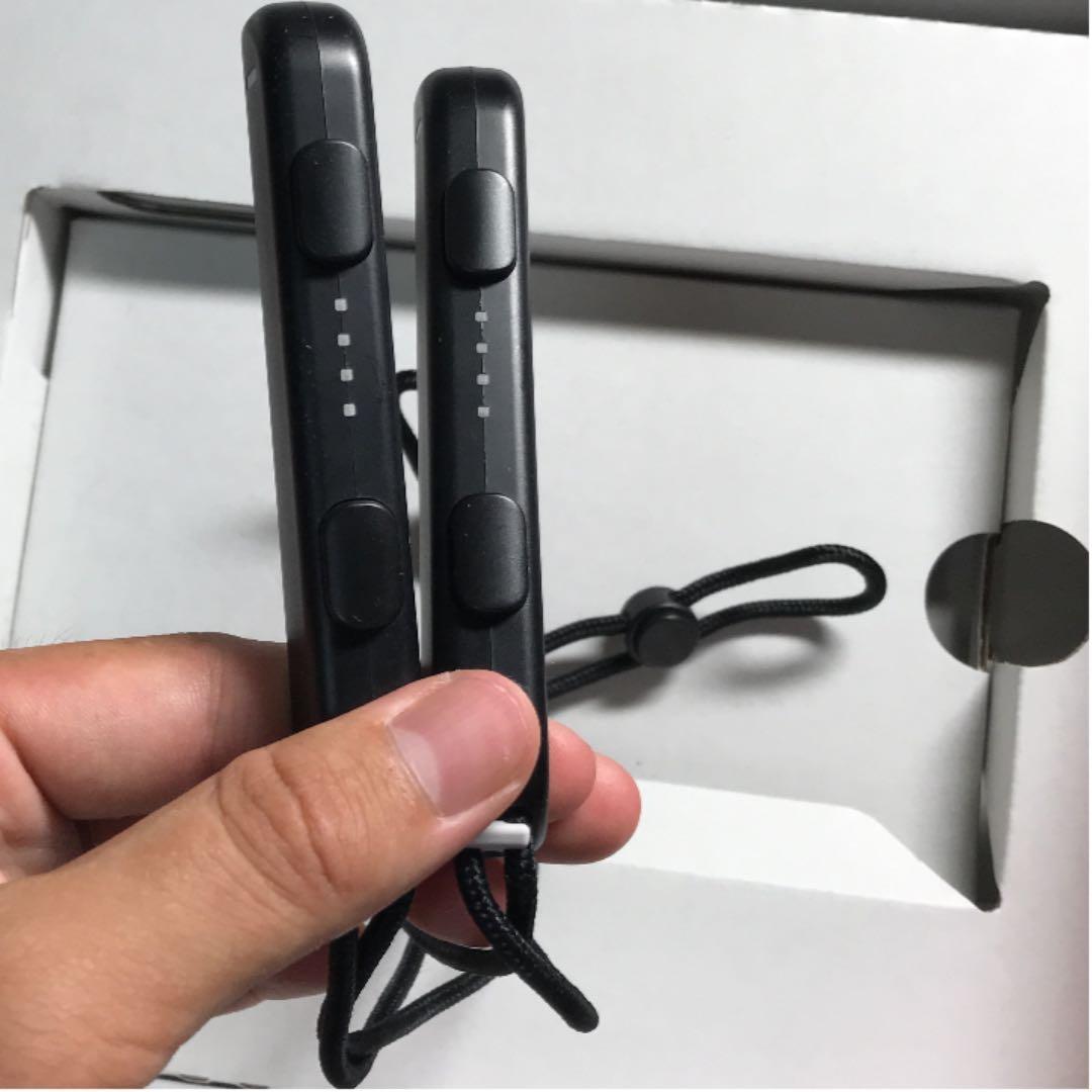 Nintendo Switch  ダウンロード版どうぶつの森有り