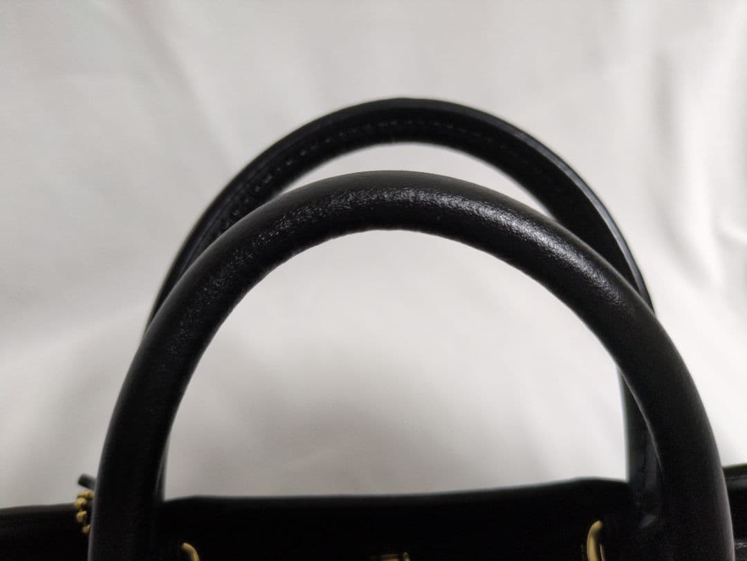 COACHミニリリーキャリーオール２ＷＡＹ バッグ