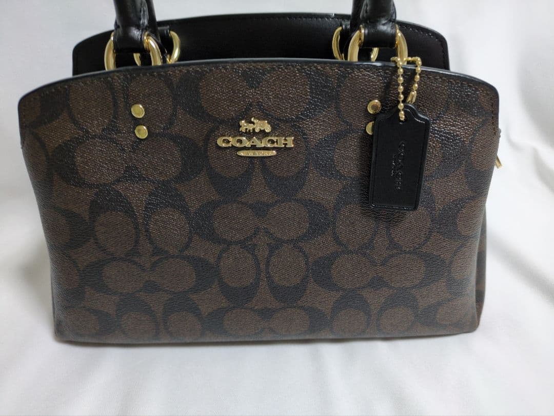 COACHミニリリーキャリーオール２ＷＡＹ バッグ