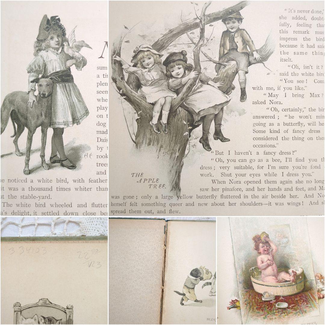 超稀少1891アーネストニスター絵本 初版本 洋書古書 児童書 ヴィクトリアン