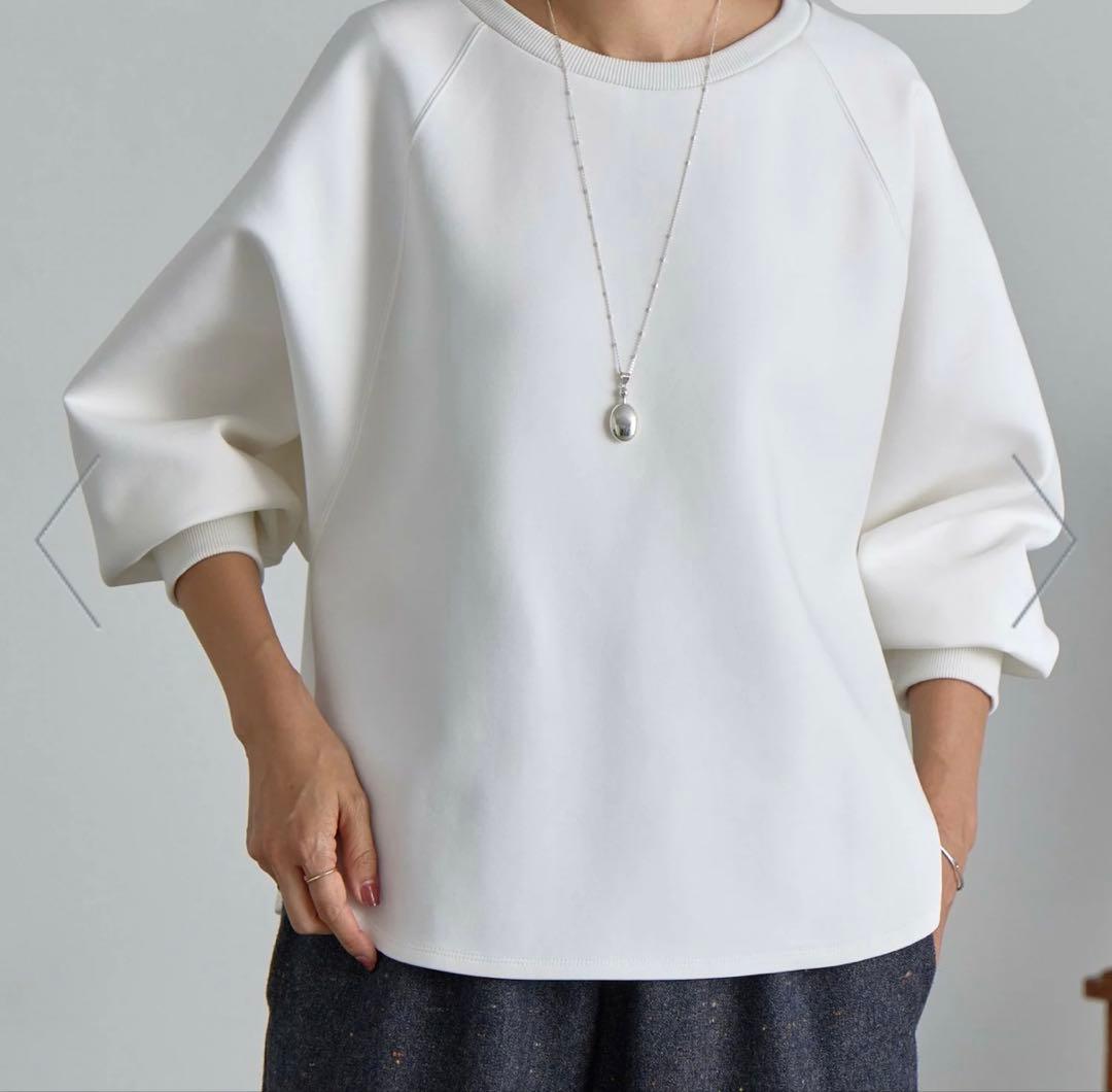 BEARDSLEY ビアズリー　ダンボールサークルプルオーバー新品