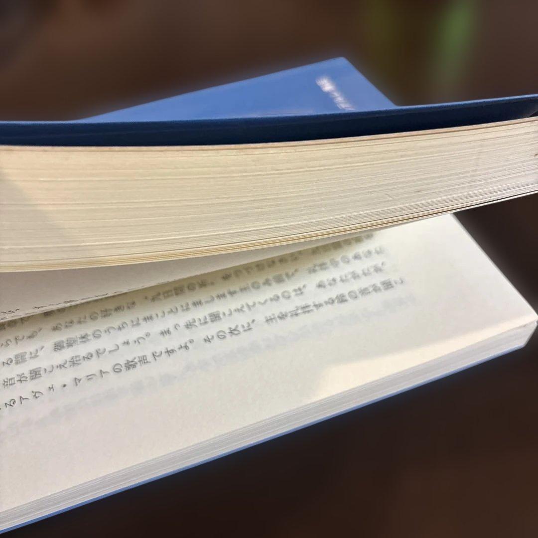 日本の奇跡　聖母マリア像の涙　エンデルレ書店