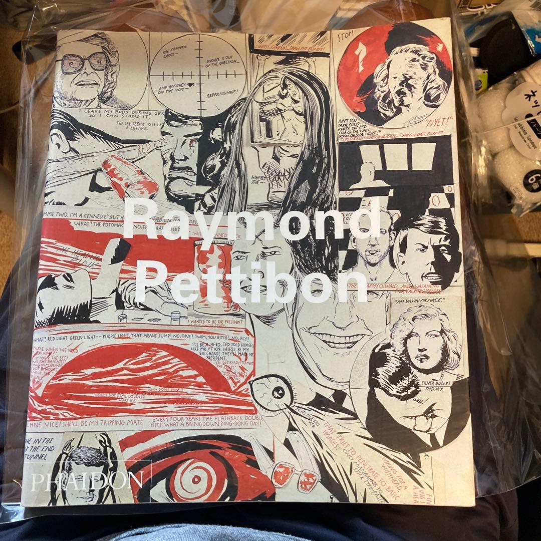 RaymondPettibon 画集
