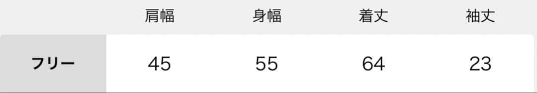 新品【REMI RELIEF/レミレリーフ】NORTHVIEW Tシャツ☆カーキ