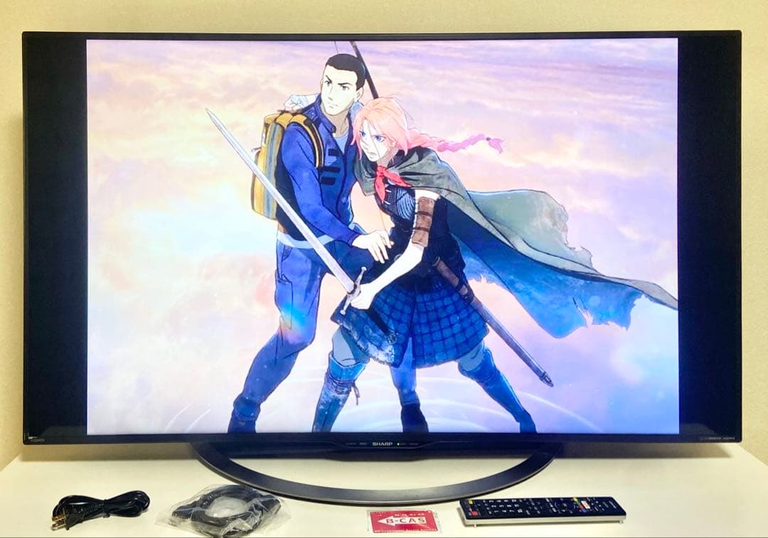 【今だけ特価】AQUOS 50V型 LC-50U45（2018)