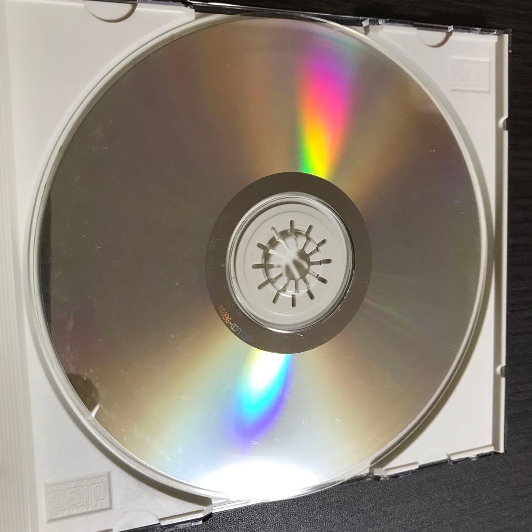 洋楽 Pyphomgertum/ gorific carnal confessions