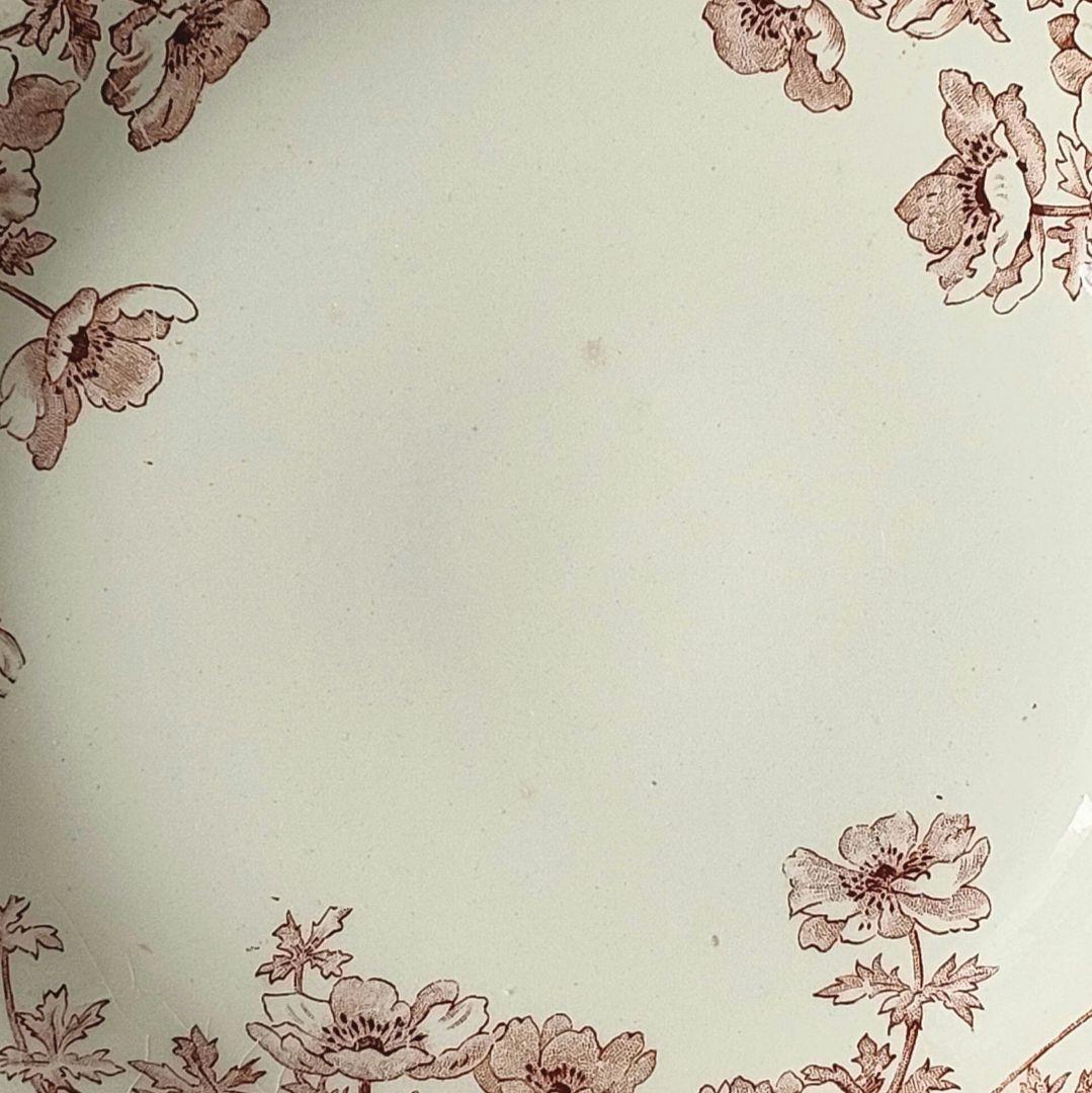 希少　美品　ジアン　アネモネ　コンポティエ　フランスアンティーク