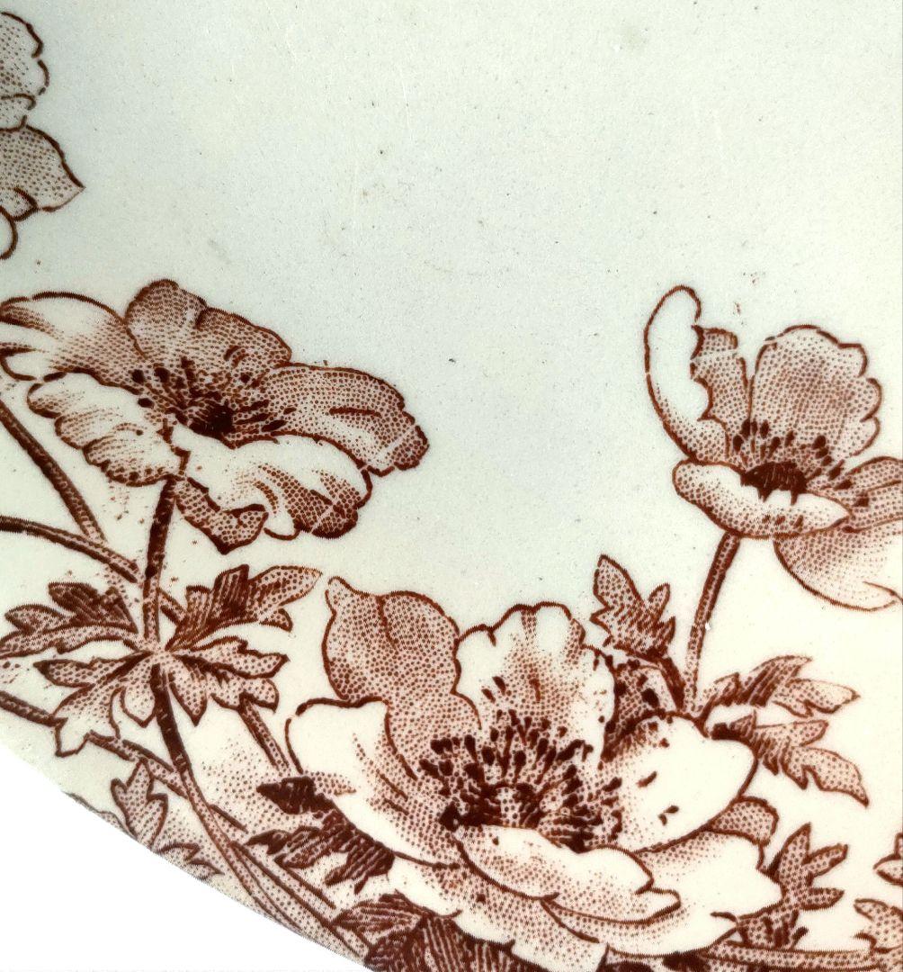 希少　美品　ジアン　アネモネ　コンポティエ　フランスアンティーク