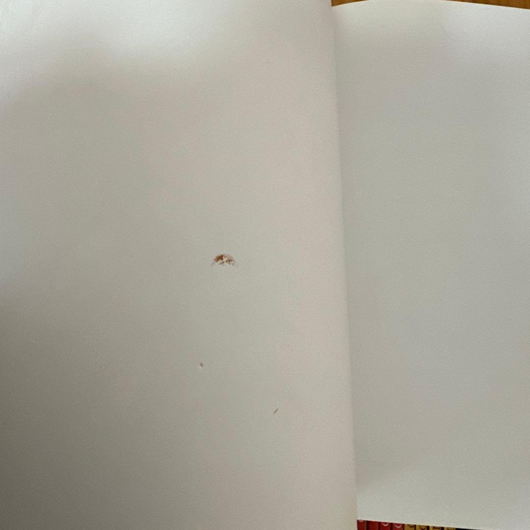 ORT Oxford Reading Tree 多読絵本 ４８冊セット　英語教育