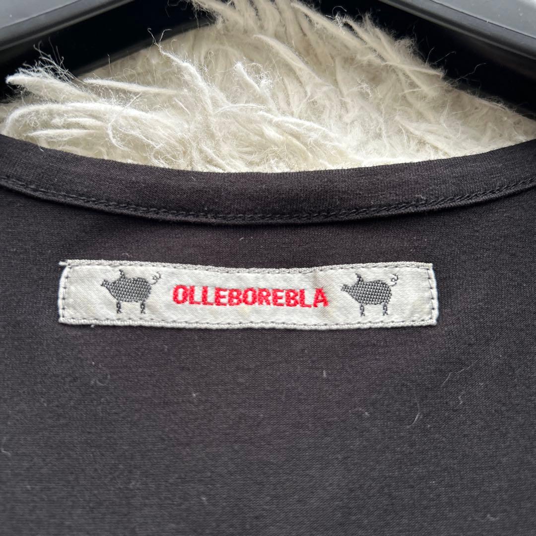 【美品】アルベロベロ　チュニックワンピース ぶたさん　刺繍 30周年記念