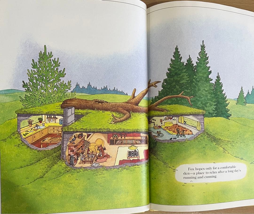 No.93 レア 希少 絵本 洋書　だれのおうちかな ジョージ メンドーサ