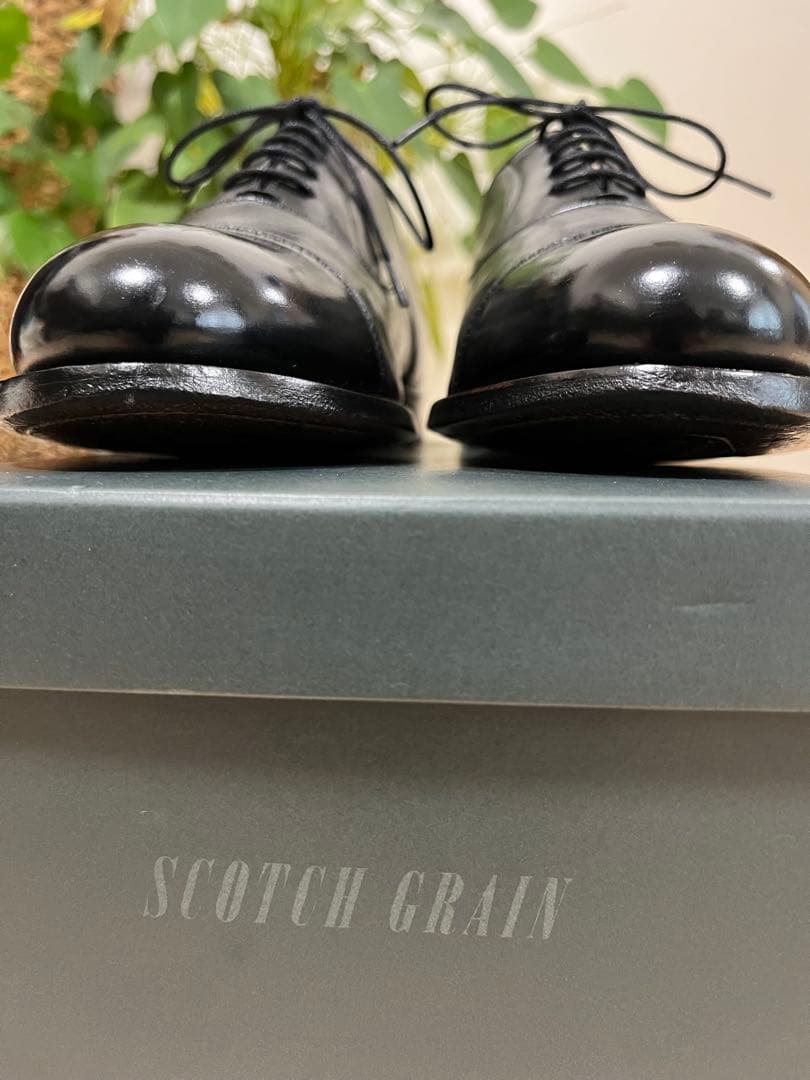 スコッチグレイン　1236 26.0 黒