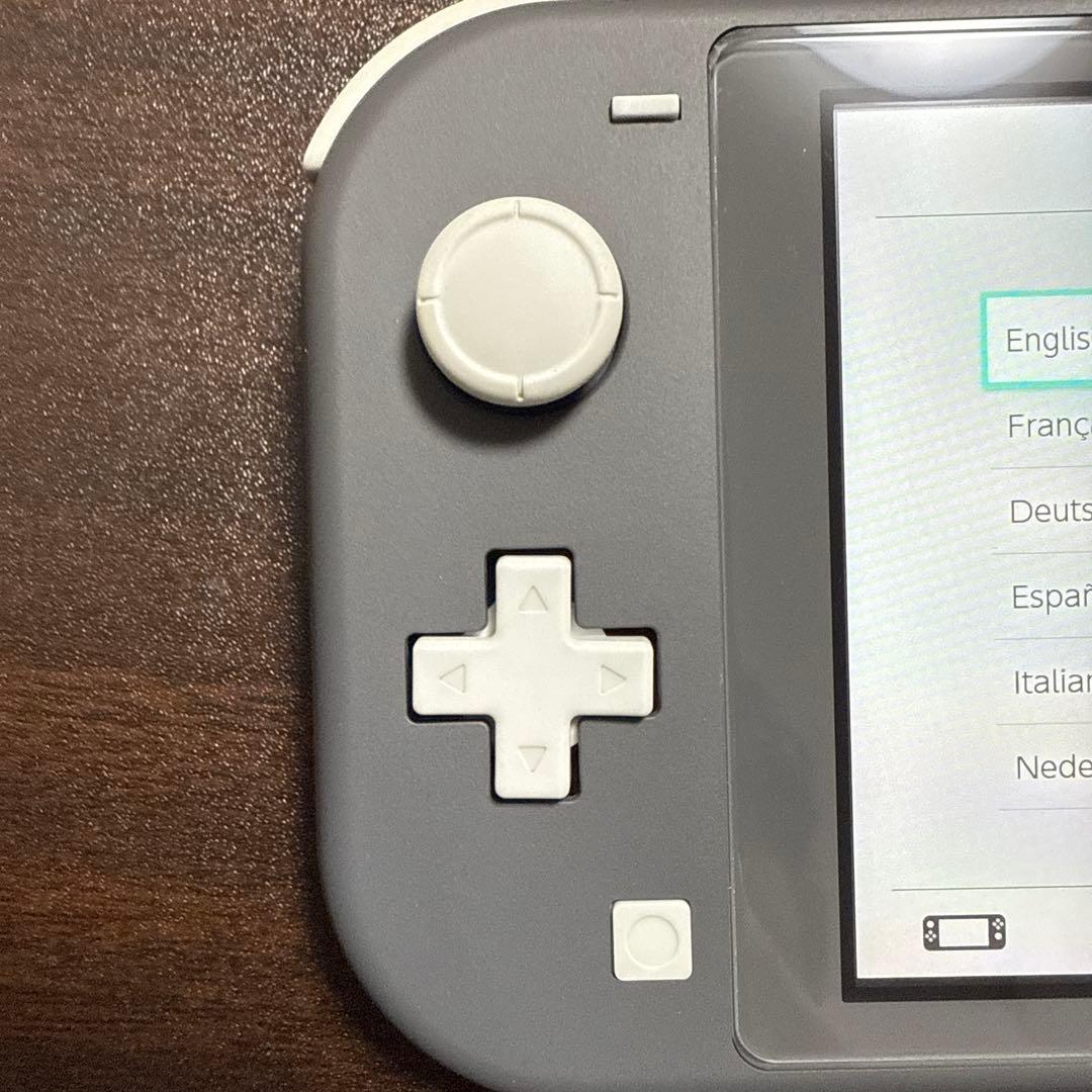 Nintendo Switch Lite グレー 本体のみ、おまけ付き