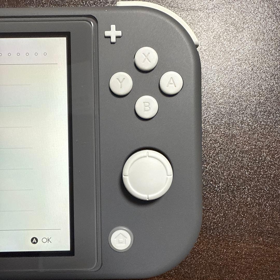 Nintendo Switch Lite グレー 本体のみ、おまけ付き