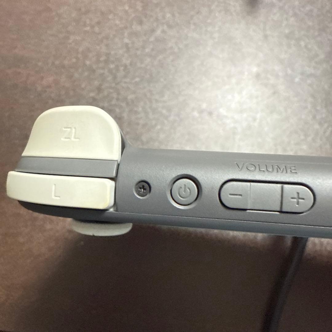 Nintendo Switch Lite グレー 本体のみ、おまけ付き