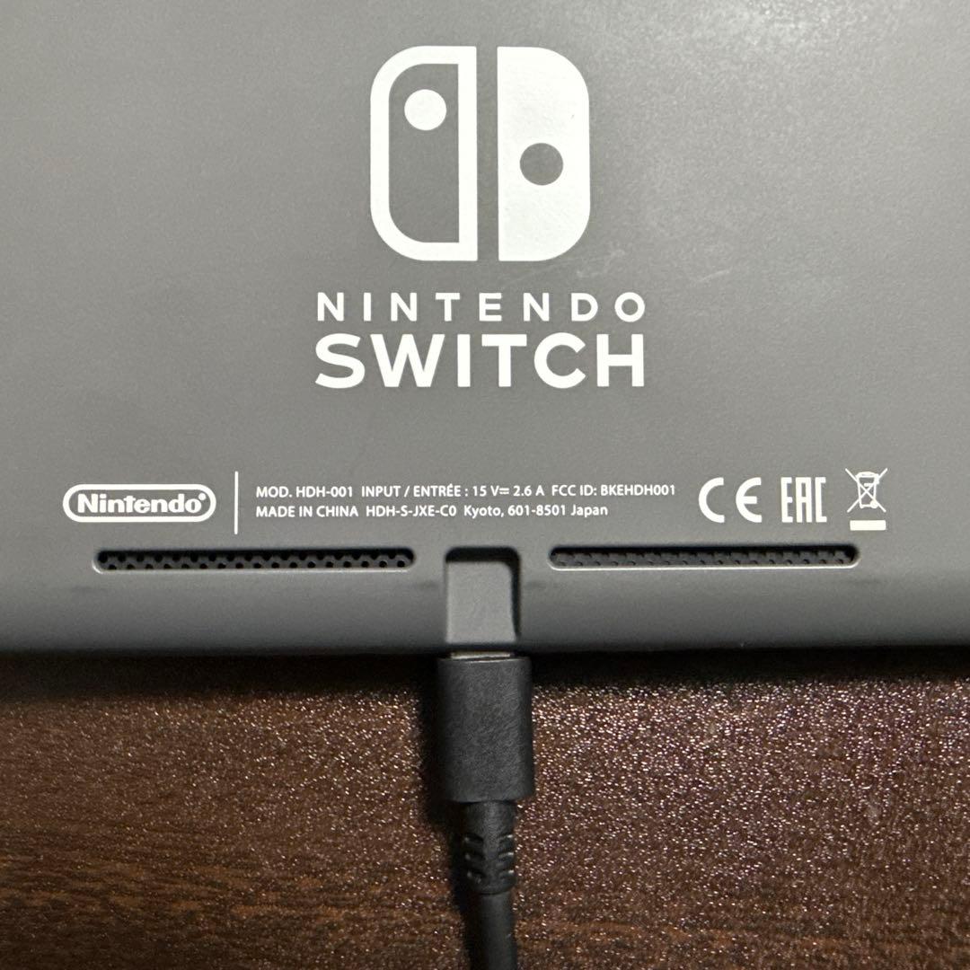 Nintendo Switch Lite グレー 本体のみ、おまけ付き