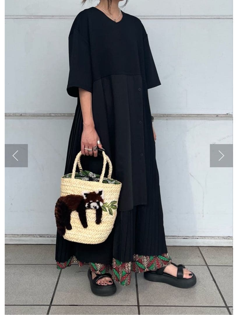 ear PAPILLONNER キャラカゴバック