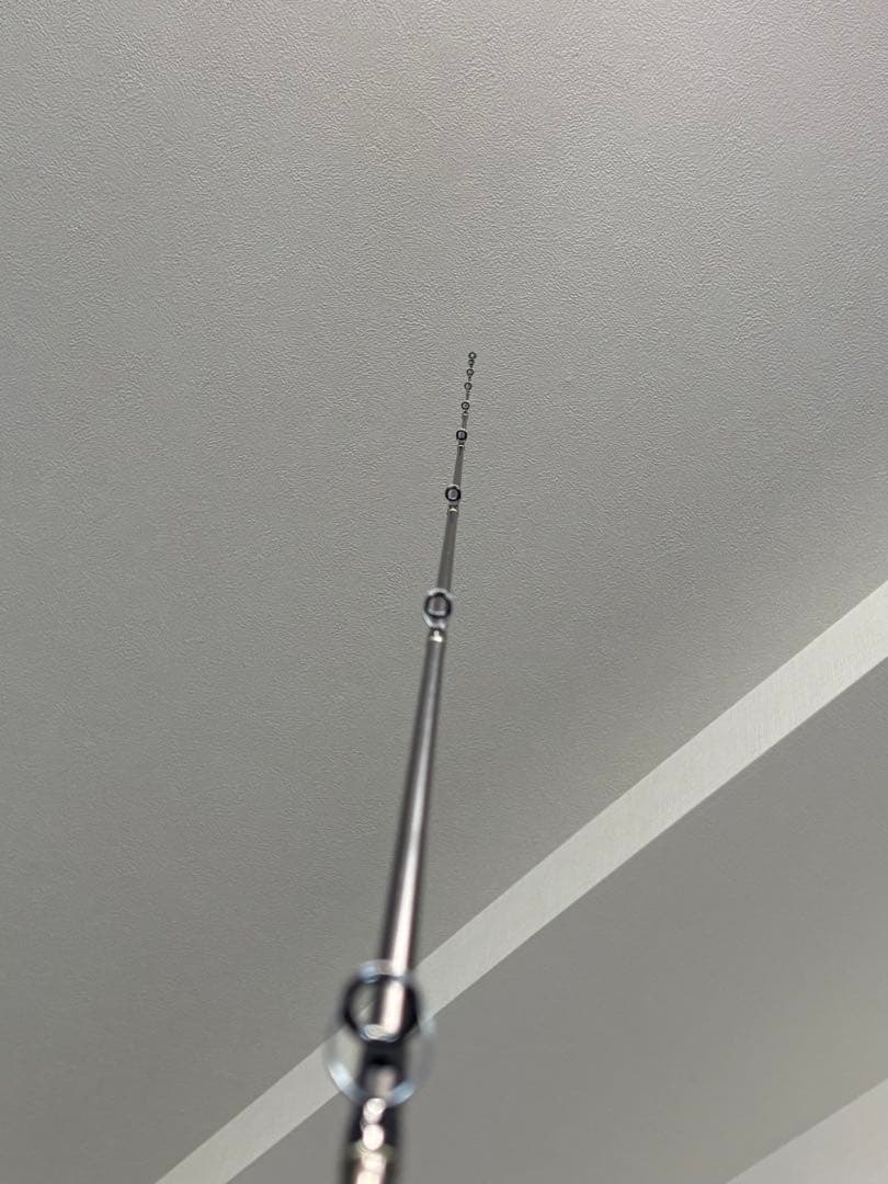 EVERGREEN カレイド　デジーノスティングレイ