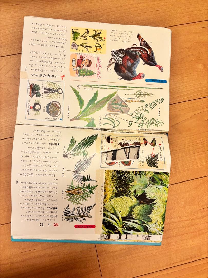 こども百科事典　全巻