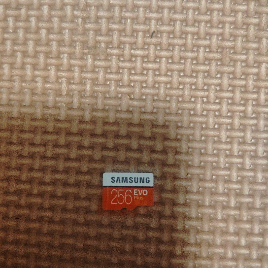 くろ　Nintendo Switch Lite ターコイズ 本体　超美品